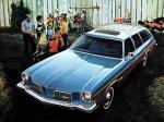 Oldsmobile Vista Cruiser 1973 года